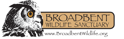 Broadbent Wildlife Sanctuary, Logo
